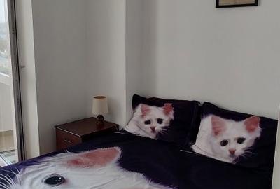 Garsonieră în Cug - 8