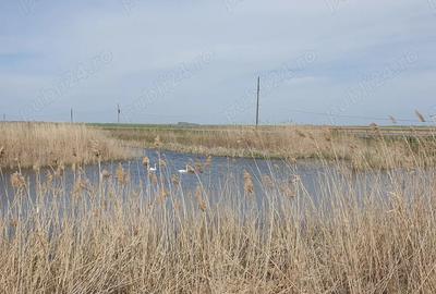 Vand casa la tara Vand casa la tara - 10