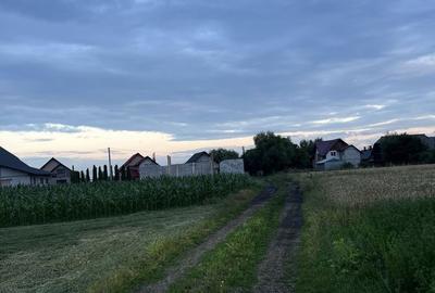 Spațiu comercial, în Frătăuții Vechi - 1