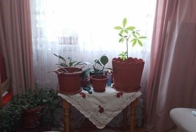 Apartament cu 2 camere în Central - 7