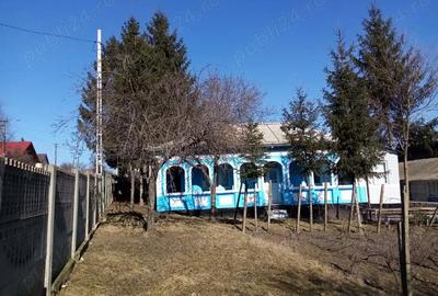 Casă cu Teren 2700 Mp în Iazu Nou
