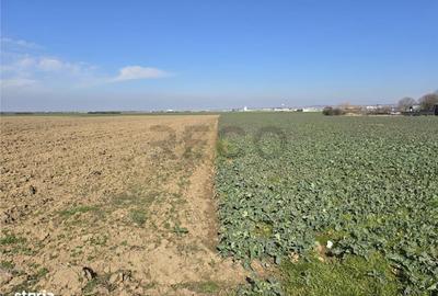 Teren de 22418 mp, în Calea Aradului - 4