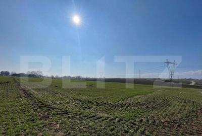 Teren extravilan, 7.300 mp, front 51 ml - Falticeni - 3