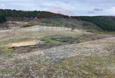 Teren de vanzare - 207.000 mp in Benesat, cu panorama  spectaculoasa. - 3
