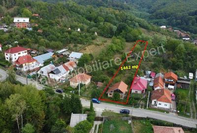 Casa batraneasca + 1462 mp teren de vanzare in Curtea de Arge?. - 10