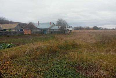 Casa Bodesti 50mp 2 camere bucataria anexe la sosea cu 1500mp teren - 15