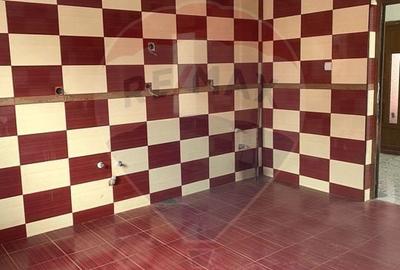 Casă cu 4 camere cu Teren 400 Mp în Beiu - 10