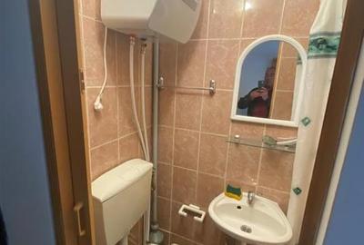 Garsoniera Renovata Buziasului - 3