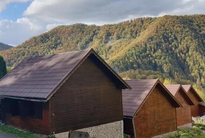 4 cabanute din lemn,Boga,Parc Natural Apuseni,Bihor - 7