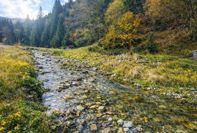 Teren în Zărnești - 3