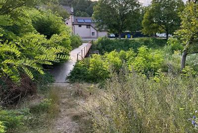 Teren Intravilan, in ora?ul Sebi?, Arad - 11