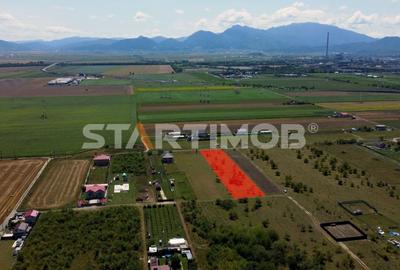 Teren intravilan Livada Sanpetru - 4