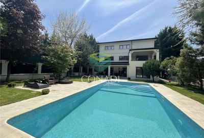 Vila individuala | In apropiere de Iancu Nicolae | Recent renovata - 3