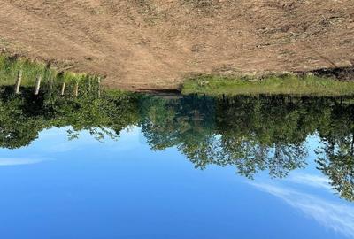 Teren Construcții intravilan de 5318 mp, în Debarcader - 2