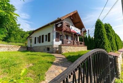 Casa / Vila noua in Soimus, jud. Hunedoara - 36