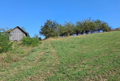 Spațiu comercial, în Căianu - 1