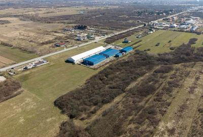 Teren agricol extravilan de 7194 mp, în Păltiniș - 11