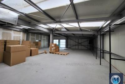 Spațiu industrial, de 798.54998779297 mp, în Exterior Vest - 10
