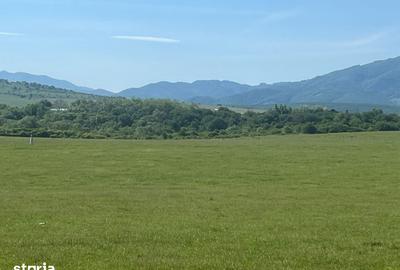 Teren de 646 mp, în Central