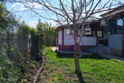 Casă individuală cu 5 camere cu Teren 958 Mp în Tineretului - 36
