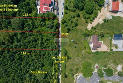 Teren Construcții intravilan de 3000 mp, în Dâmbul Morii