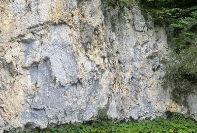 Teren de 4500 mp, în Dâmbovicioara