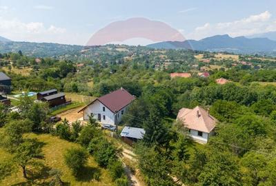 Casă individuală cu 5 camere cu Teren 2481 Mp în Sohodol - 5