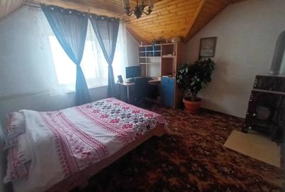 Casa pretabila agroturism, pensiune , casa de vacanta , azil batrani , teren intravilan 5100 MP - 3