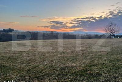 Spațiu comercial, în Marginea - 5