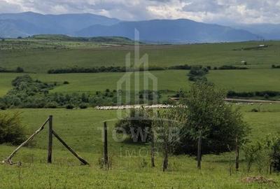 De vanzare, teren 11.500 mp – Dealul Dăii,  Vedere panoramică spre munți și lac - 1