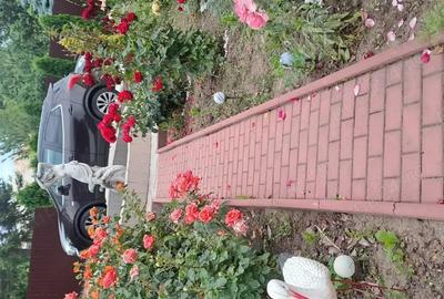 Casă cu 5 camere în Exterior Vest - 2