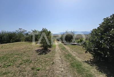Casa singur in curte cu teren liber 2667 mp 6 camere 4 bai Daia - 7