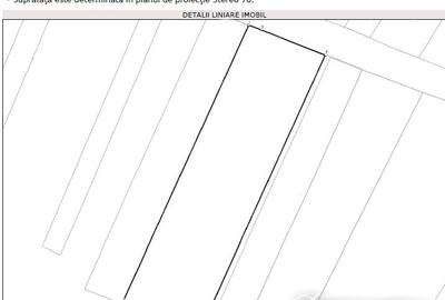 Teren Construcții extravilan de 10800 mp, în Gilău - 4