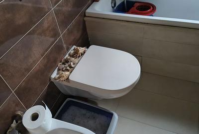 Apartament cu 2 camere decomandat în Mărășești - 1
