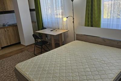 Garsoniera pet friendly zona Gorjului - 3