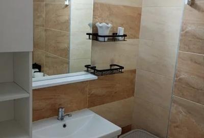 Apartament cu 2 camere semidecomandat, mobilat în Tudor Vladimirescu - 10