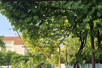 Vand Casa zona Calea Dumbravii-strada Bacovia 575.000 - 4