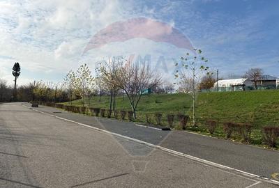 Teren 7094 mp Buftea pozitie excelenta vizavi de parc, acces asfaltat - 8