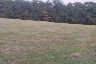 Vând teren extravilan - 1