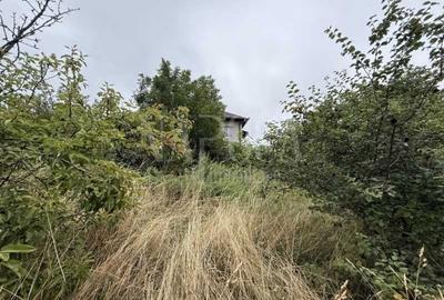 Teren intravilan pentru constructii de vanzare in Feleacu - 4