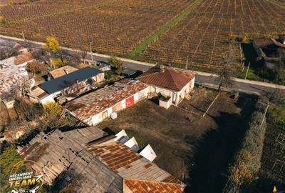 Teren de 4000 mp, în Vârteșcoiu - 13