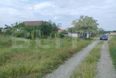 Teren de 2500 mp, în Malu Mare - 2