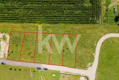 Teren pretabil constructie rezidentiala – Sanpetru - 2