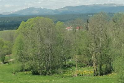 Teren de 45000 mp, în Ortoaia - 2