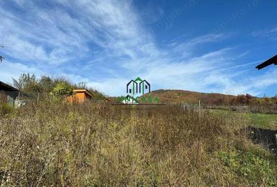 Teren intravilan - 1020 mp - Vladesti Priporu - 1