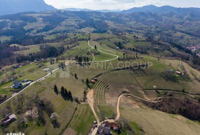 Spațiu comercial, în Drumul Carului