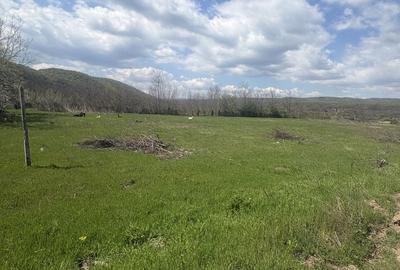 Spațiu comercial, în Vernești - 2