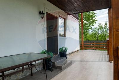 Vanzare vila, Stefesti-Prahova - 20