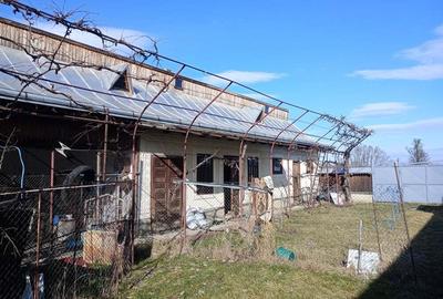 Casa 260 Mp anexe 280 Mp teren 7500 mp Rauce?ti- Ungheni - 4