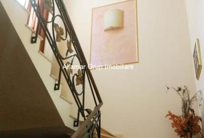 Vila 9 camere Cotroceni- Parcul Operei - 14